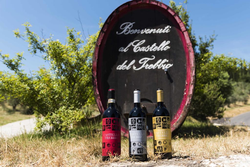 LʼOpaco Castello Del Trebbioヴィラ エクステリア 写真